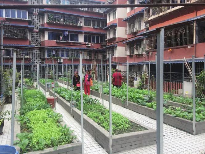 小区最好的小生意,小区8平米可做什么生意