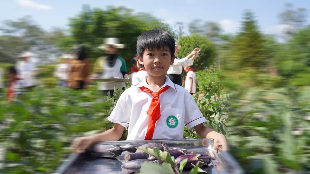 我想这样过六一,我也想拥有这样的爱情