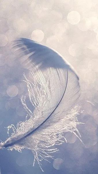 唯美手机壁纸高级感,唯美手机壁纸高清全面屏