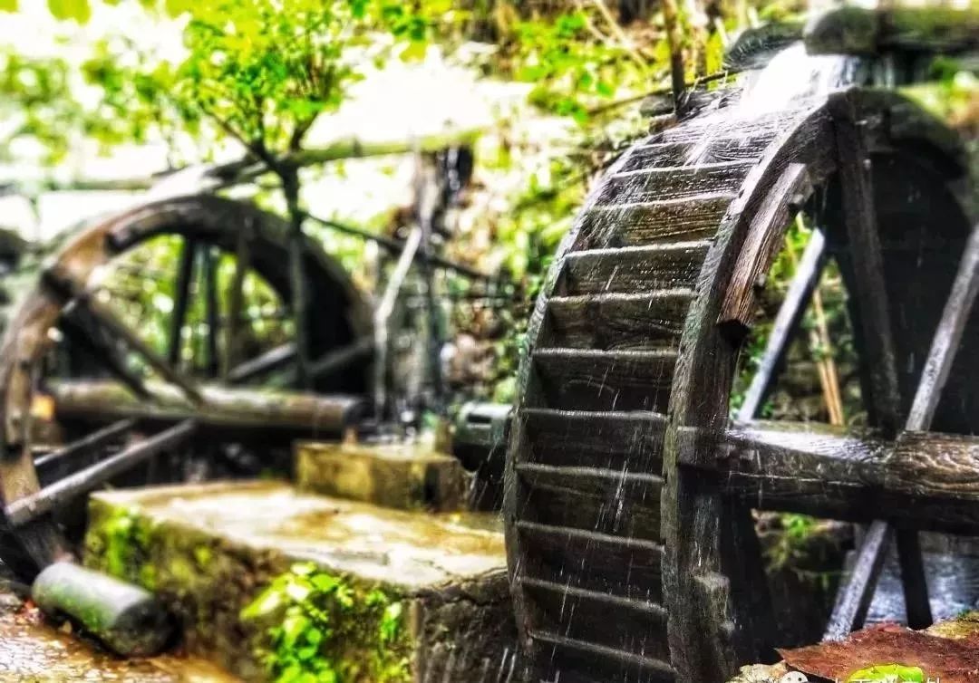 广东肇庆羚羊峡攻略,肇庆羚羊峡游记