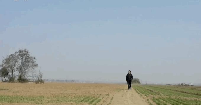 “我红了，她走了”