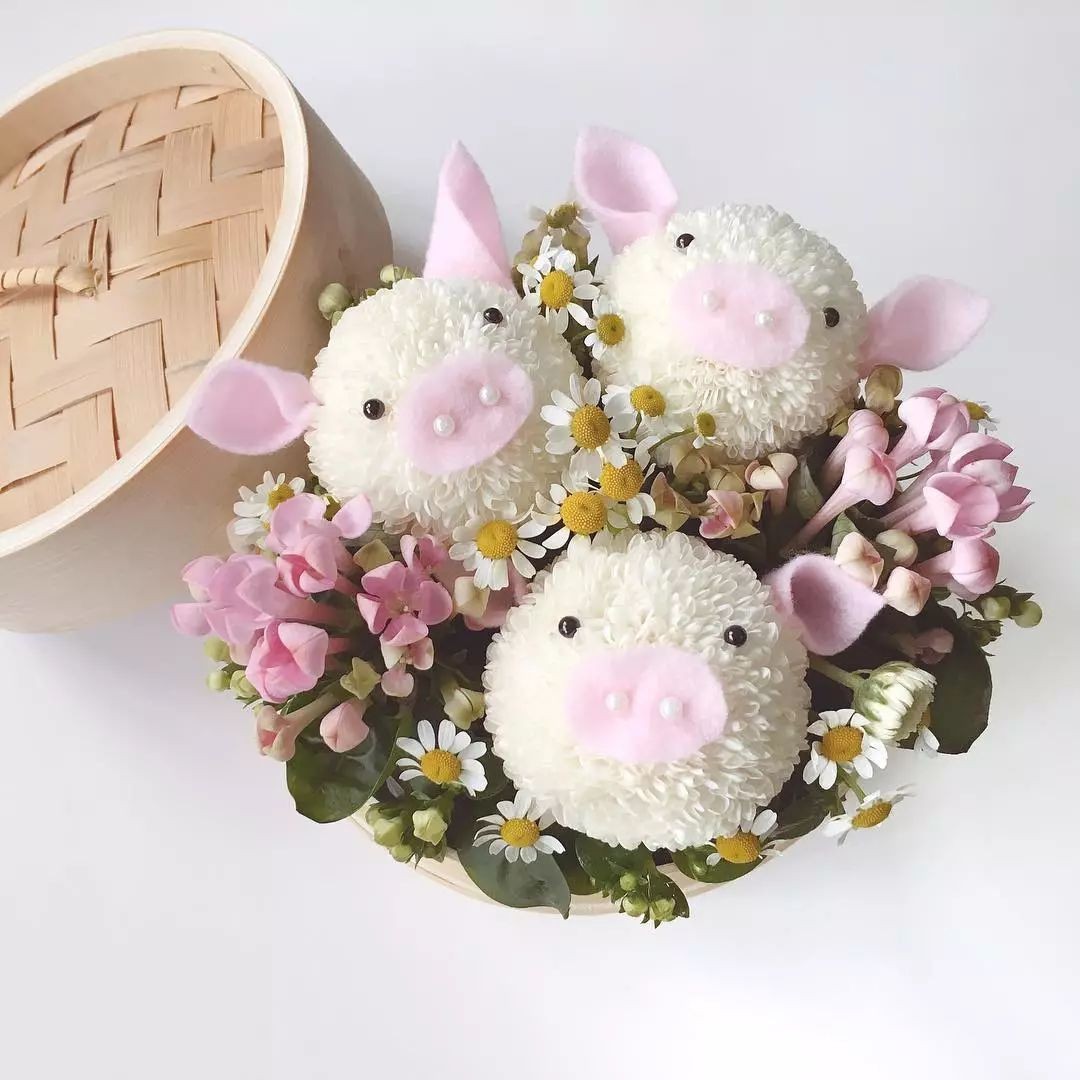 闀垮緱鍍忚冻鐞冧竴鏍风殑妞嶇墿,鍜岃冻鐞冩湁鍏崇殑妞嶇墿