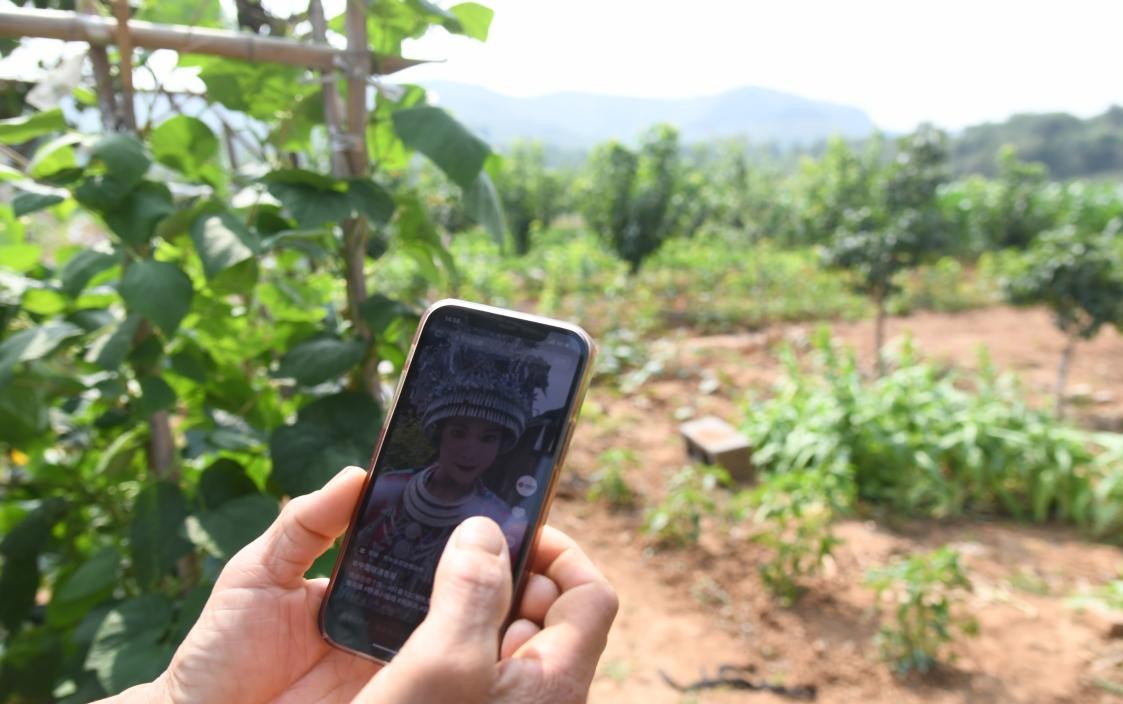 潍坊联通定点帮扶临朐县黄山村的“数字乡村”成长记