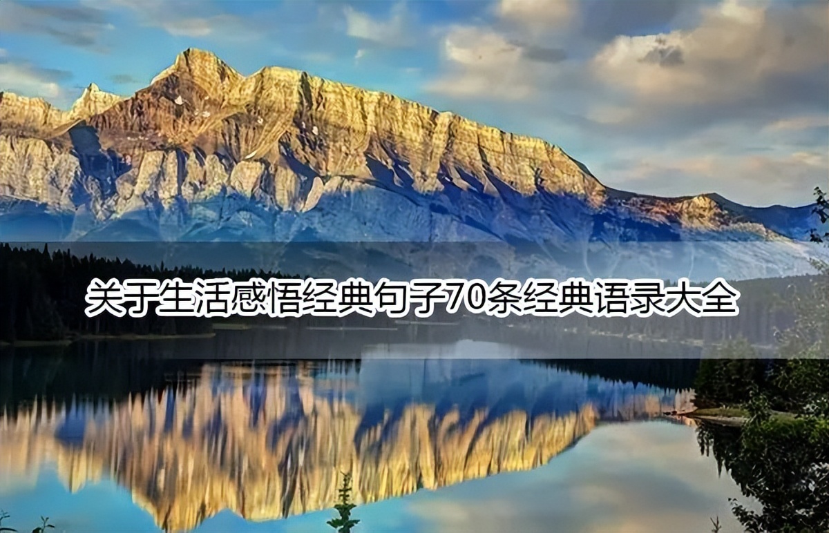 平凡的生活感悟经典语录,白岩松生活感悟经典语录