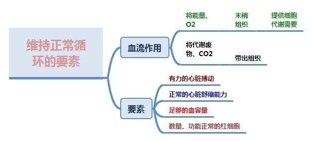 抗休克治疗中缩血管药物使用原则,不同时期休克用药