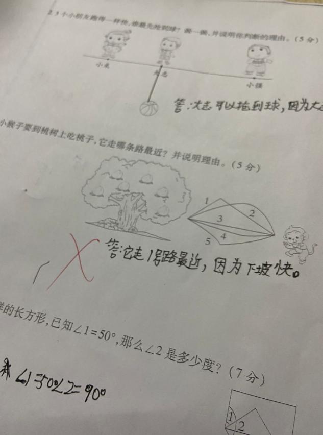 小学生零分试卷网友看了笑喷,一次大胆的尝试500字六年级