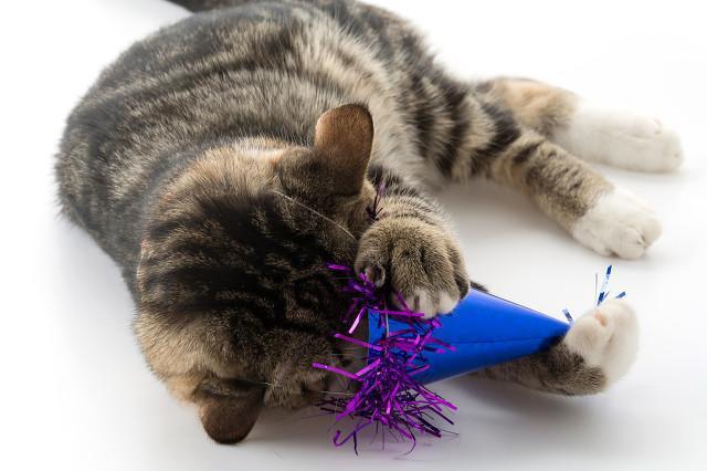 蛋氨酸含量标注,蛋氨酸含量有几种规格