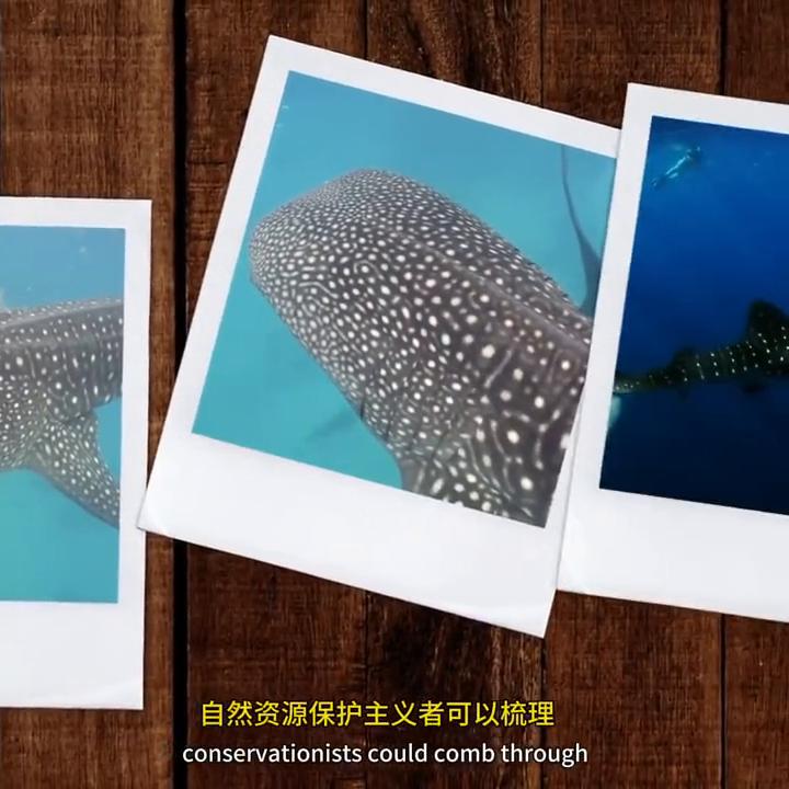 哈勃望远镜下的真实宇宙视频,宇宙探秘哈勃望远镜