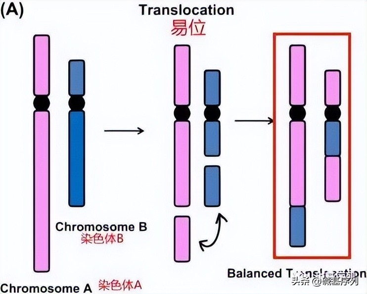 孕前有必要做基因检测吗,孕前有必要做基因筛查吗