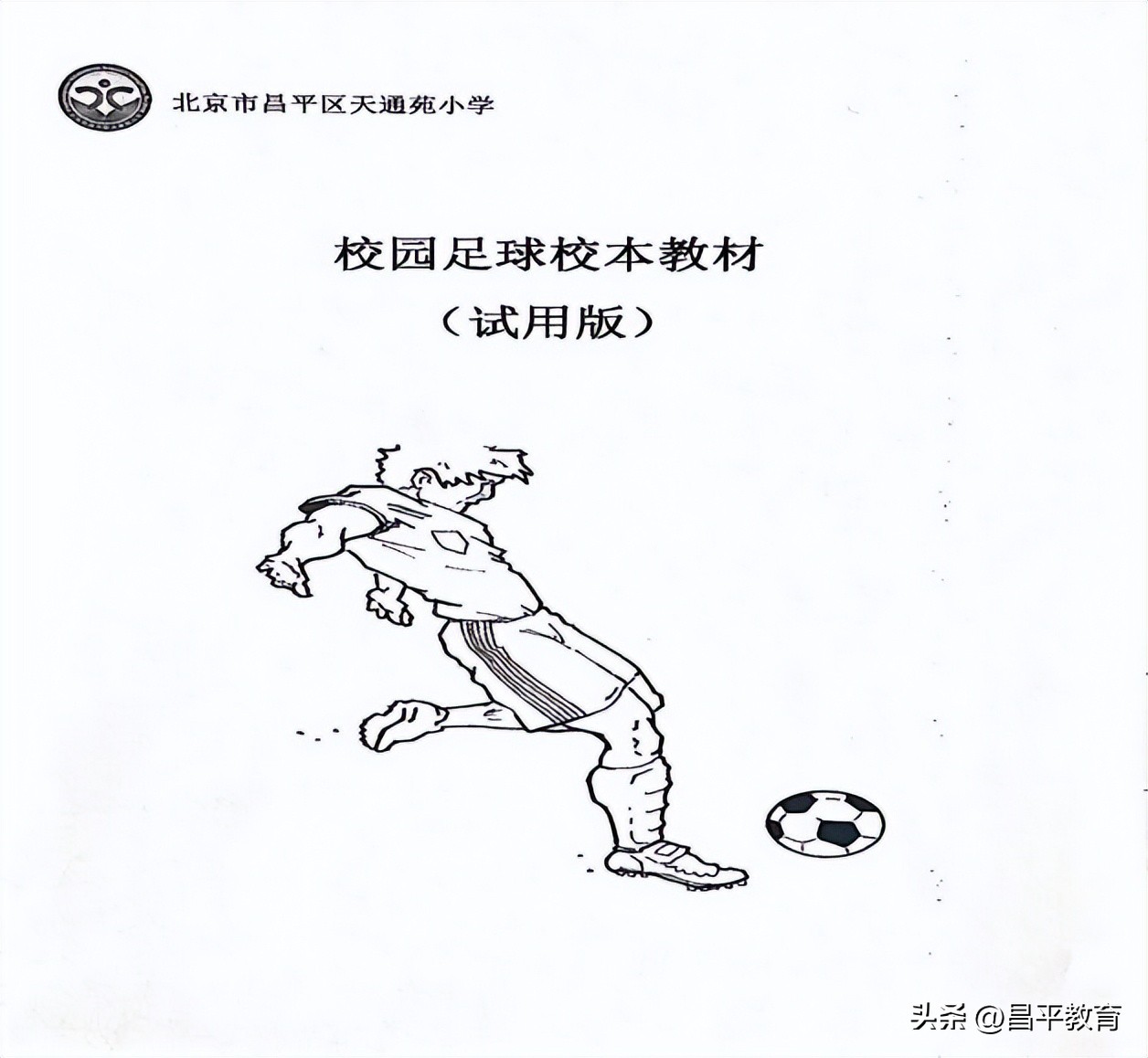 校园足球比赛踢出世界杯氛围,大学校园世界杯期间的足球文化