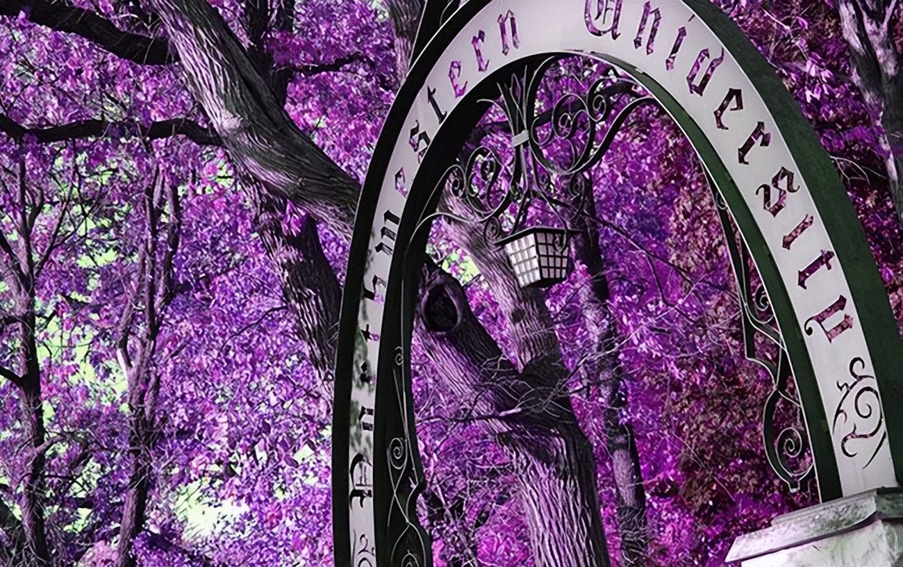 学姐分享丨心理学申请，CV\PS\推荐信如何侧重才能吸引招生官？