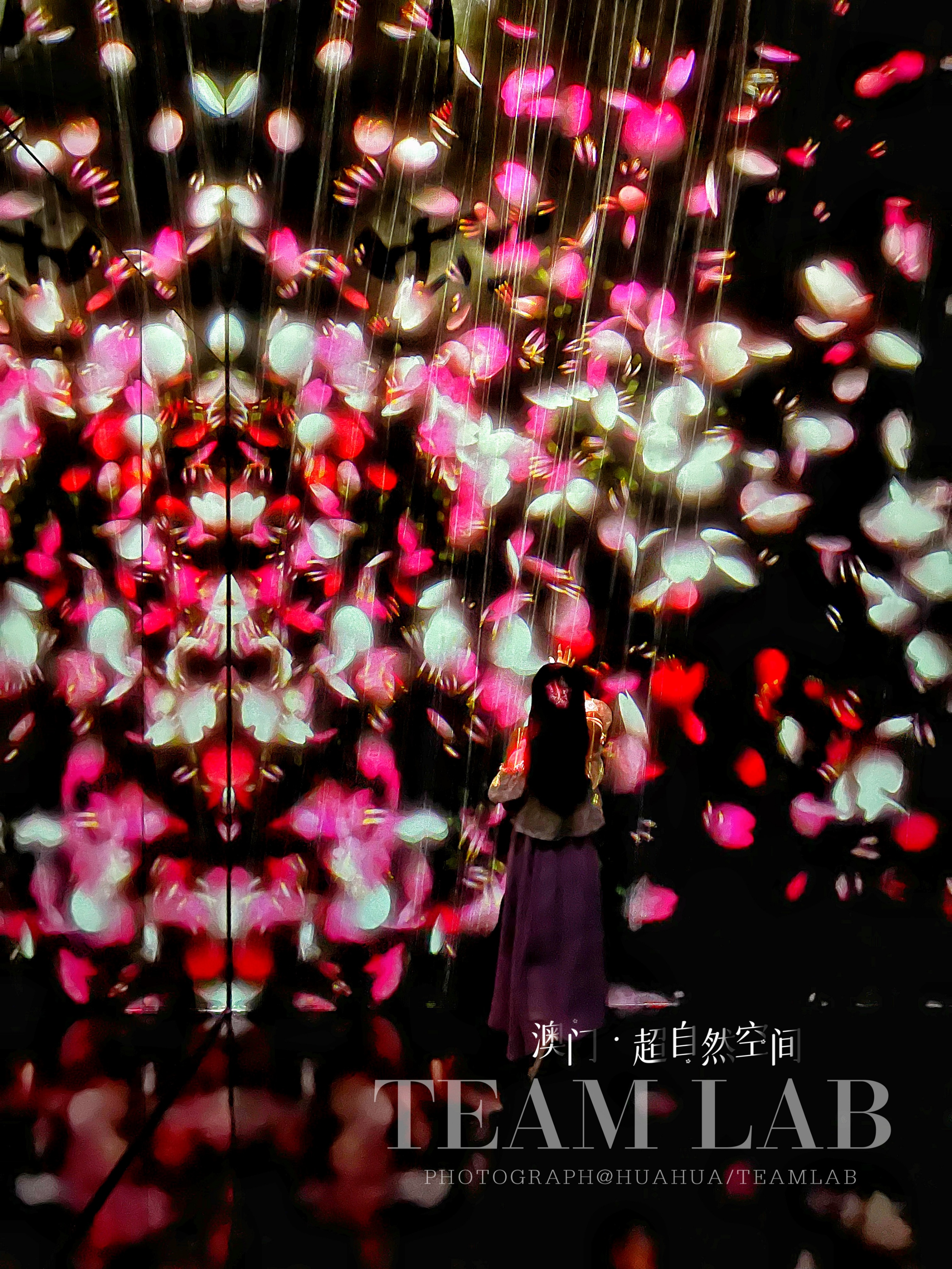 游澳门攻略,澳门旅游攻略自由行五天4晚