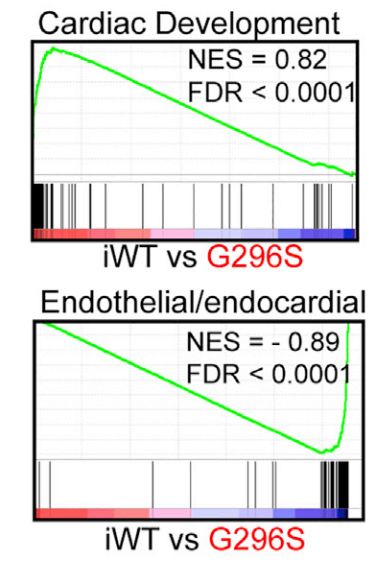 如何理解gsea,gsea安装使用教程