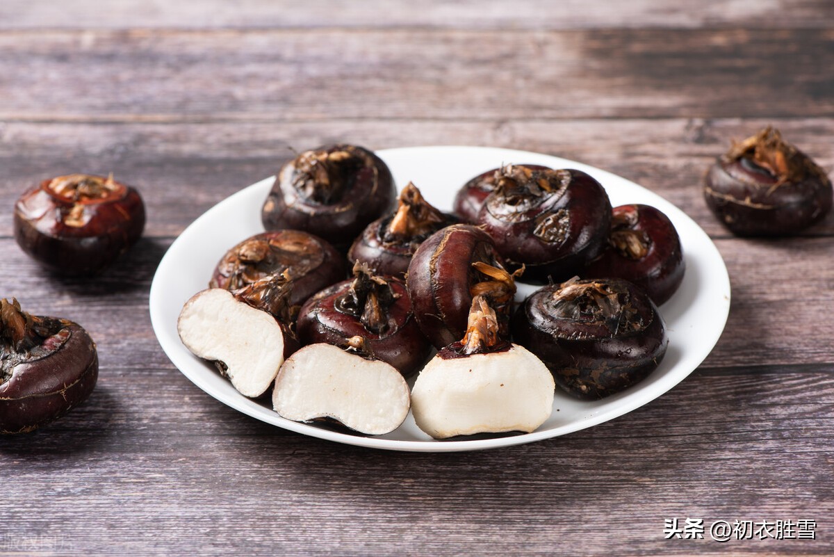 荸荠诗句,荸荠古诗