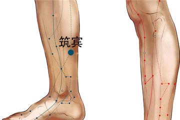 法国的国宝级老中医,中医药治老狗
