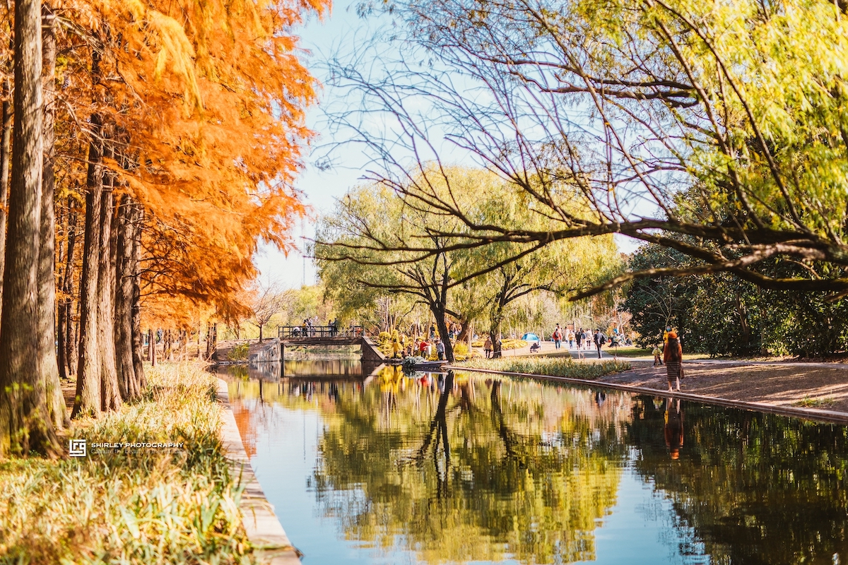 上海海湾国家森林公园在什么地方,上海国家森林公园有几个