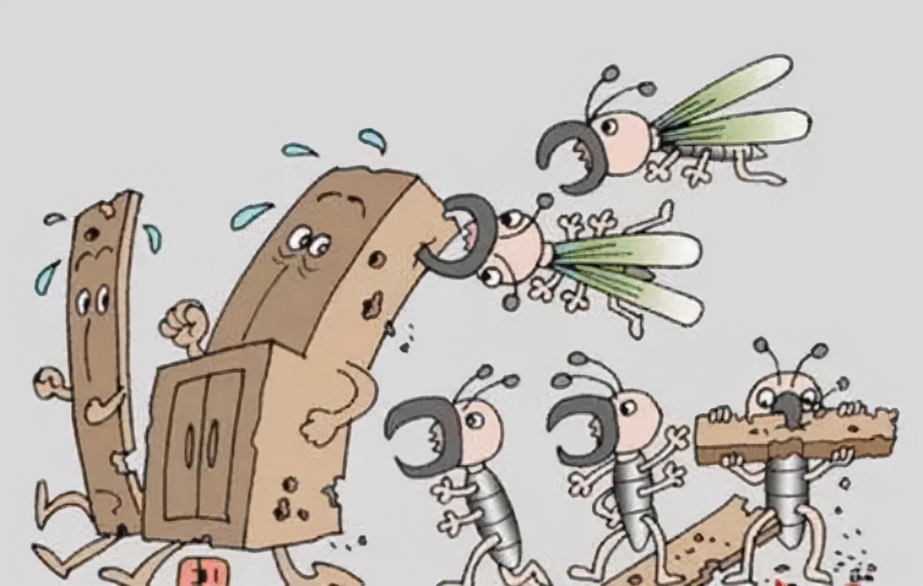 为什么不能对白蚁窝使用杀虫剂,雷达杀虫剂对白蚁有无杀灭作用