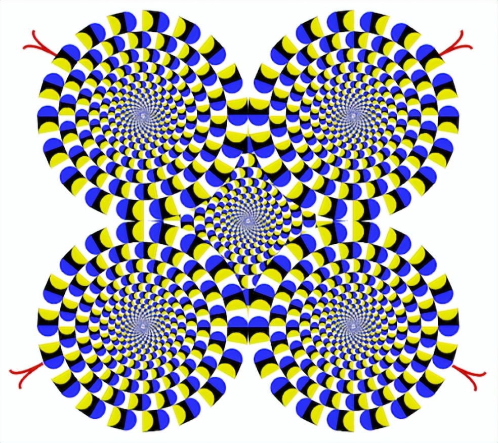 我鼻子呢？我怎么看不见了？