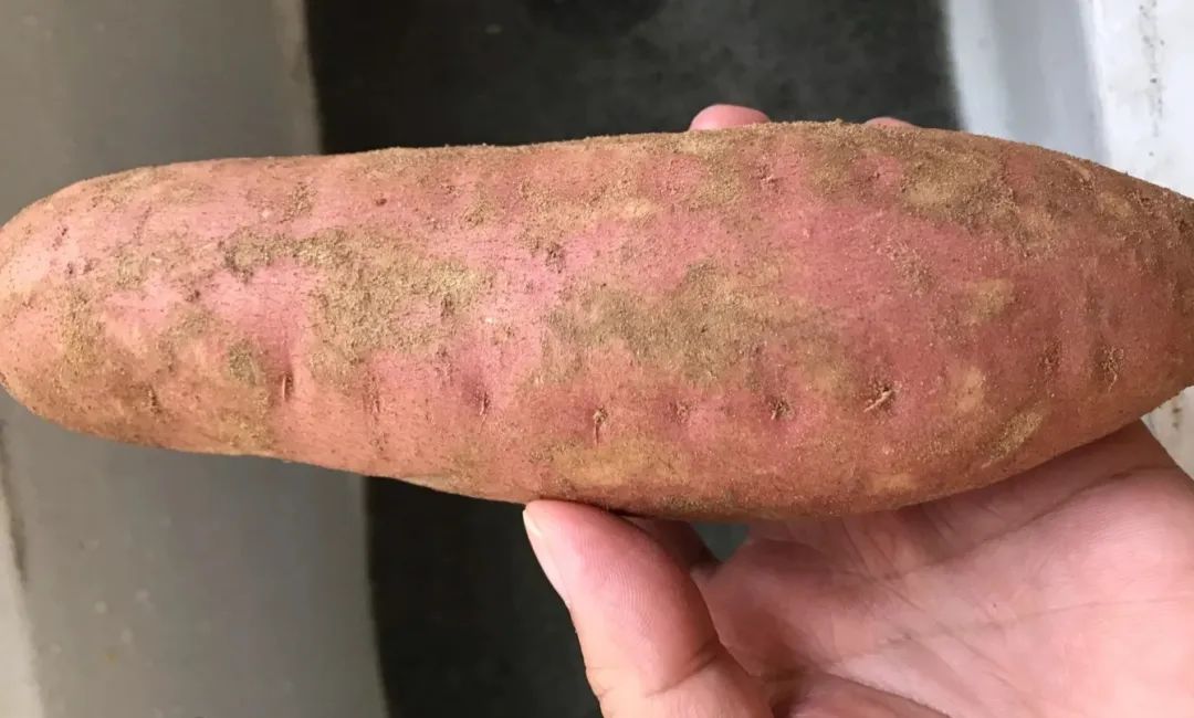 失眠多梦肝火旺吃什么药管用,肝火旺失眠吃什么食物可以降肝火