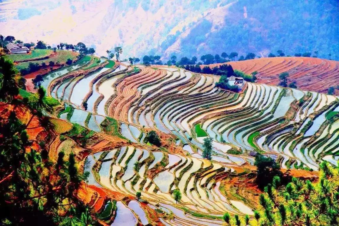 攀枝花领地阳光花城,攀枝花普达阳光康养胜地