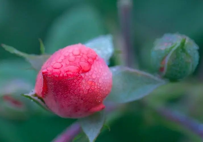 哪个网站可以发布新闻稿,专业新闻稿发布平台