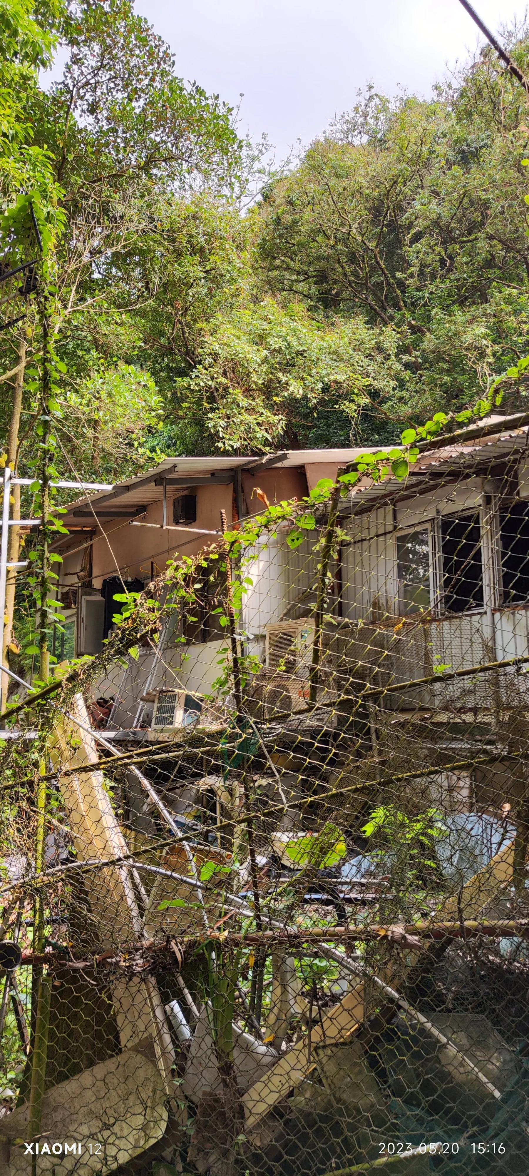 香港大围自由行，重点关注了药品、肉菜以及免税店里香烟的行情