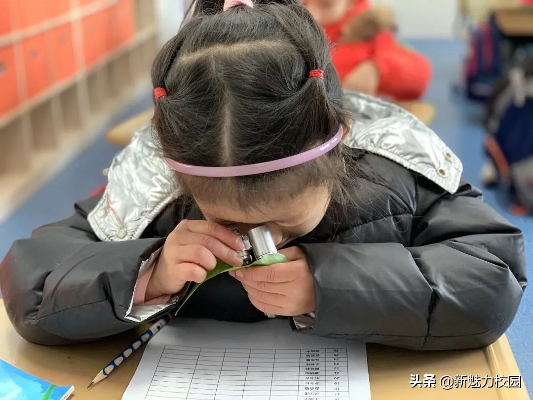 软件谷二小学区,软件谷二小怎么样