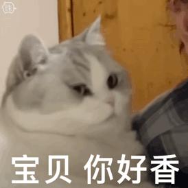 扩展功能的浏览器有哪些,可扩展浏览器