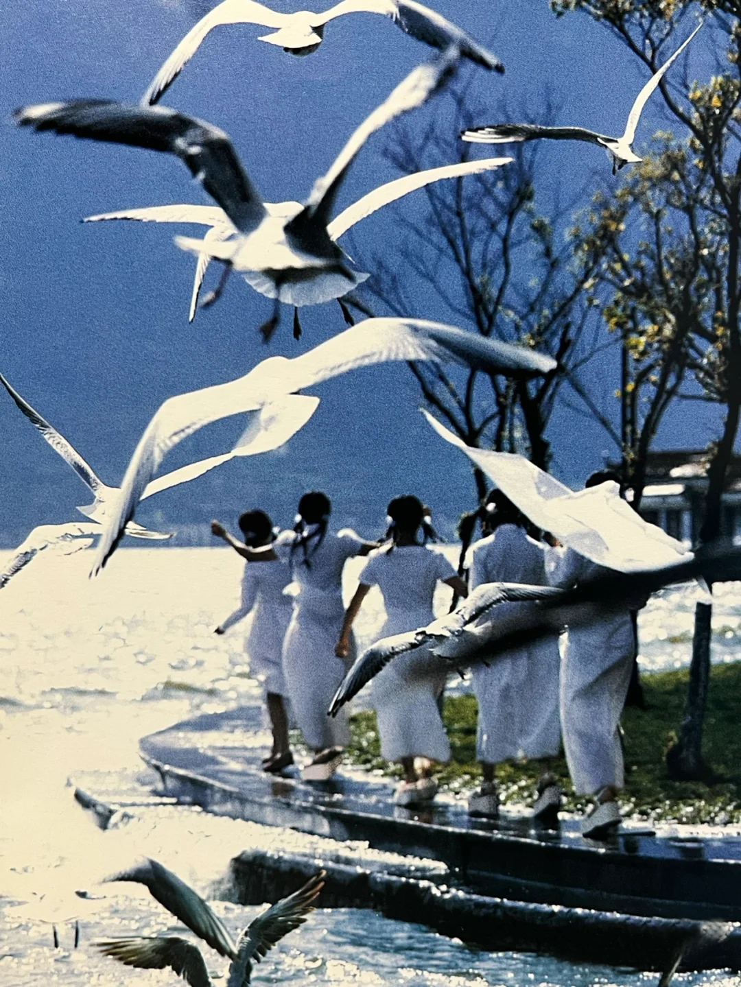 轻奢淑女屋,淑女屋以前的风格