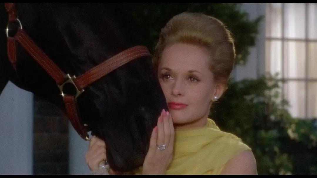 电影《艳贼》：对欲望与罪恶的深入探讨