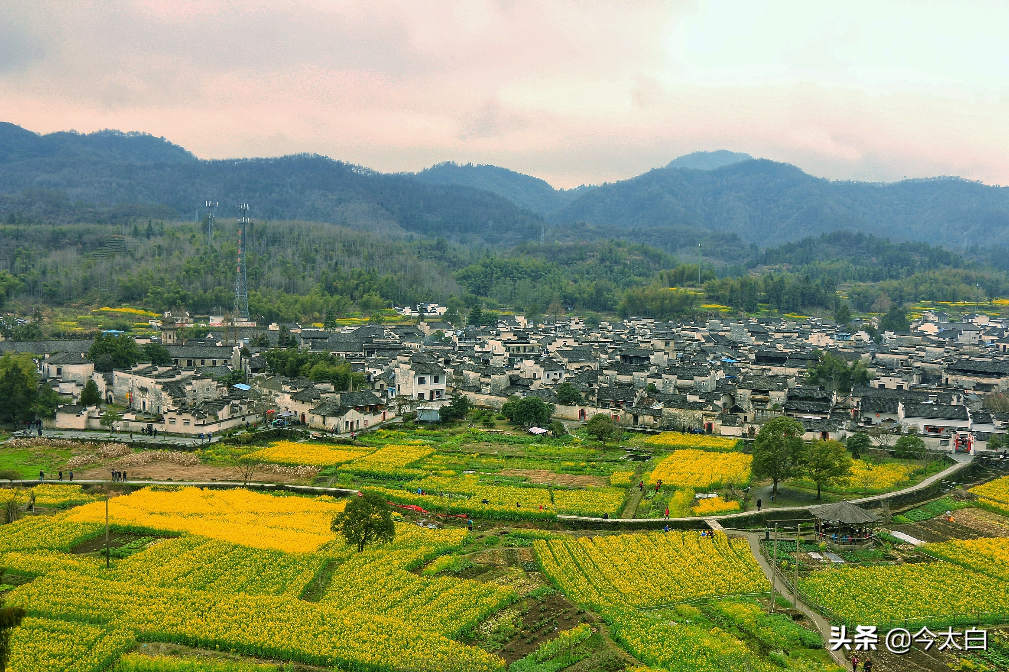 徽菜才是天下第一,徽菜轻度腐败