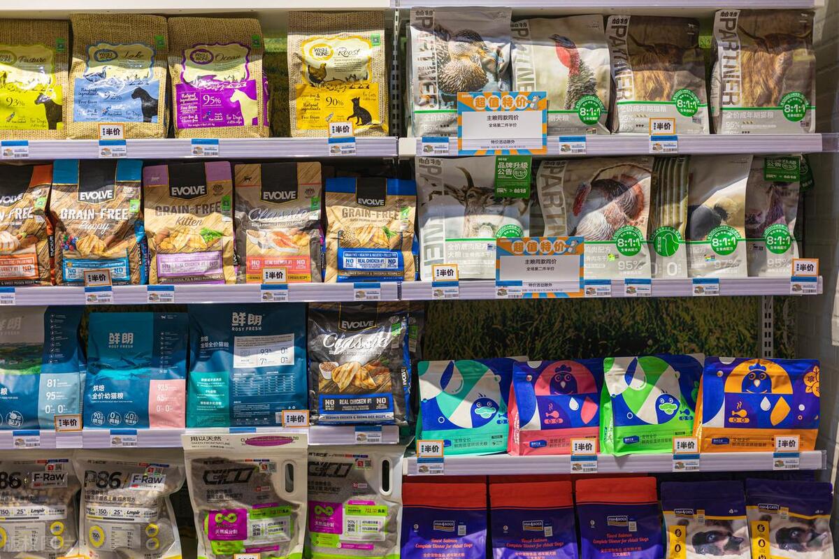 怎样挑选一条健康的宠物狗,如何挑选可爱的宠物狗呢