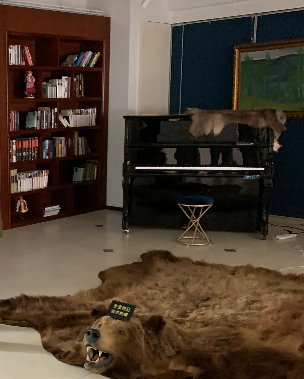 这里有货！中国网友爆买俄罗斯商品，这家展览馆里的实体店还有货