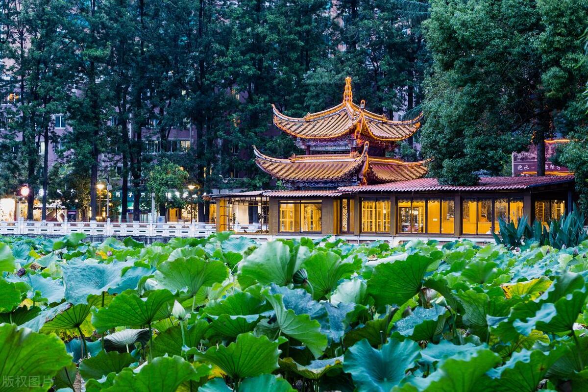 去云南必须去的几个地方旅游景点,云南旅游攻略云南必去4大景点