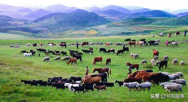 百年孤独读后感800字高中,百年孤独深度解析