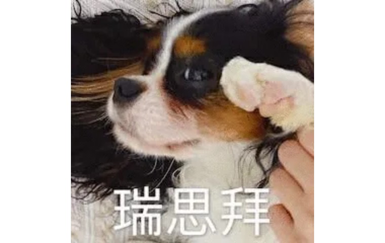 学到本领赚到钱,梅西赚钱方法