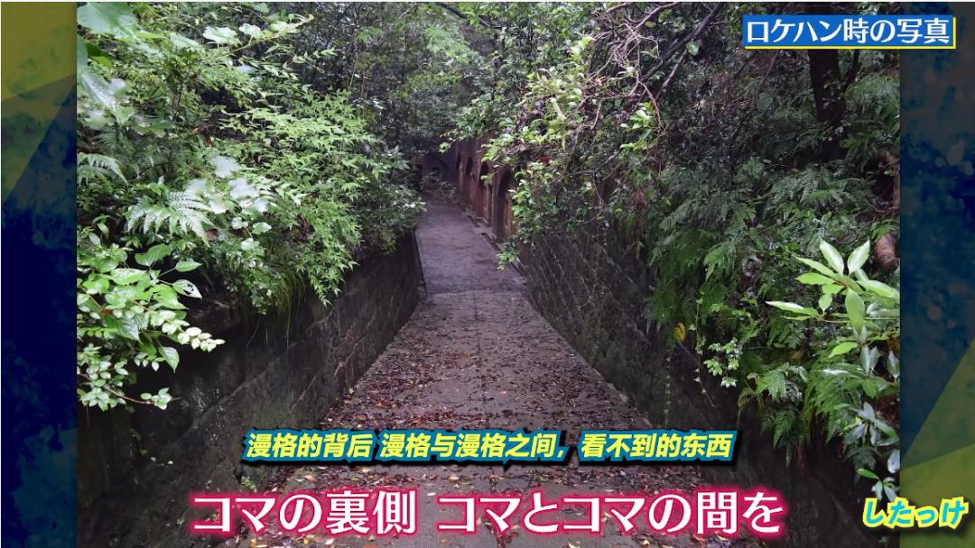 动画版《开端》来了？金发泳衣美女请我玩*猫猫躲**，不妨循环多几次