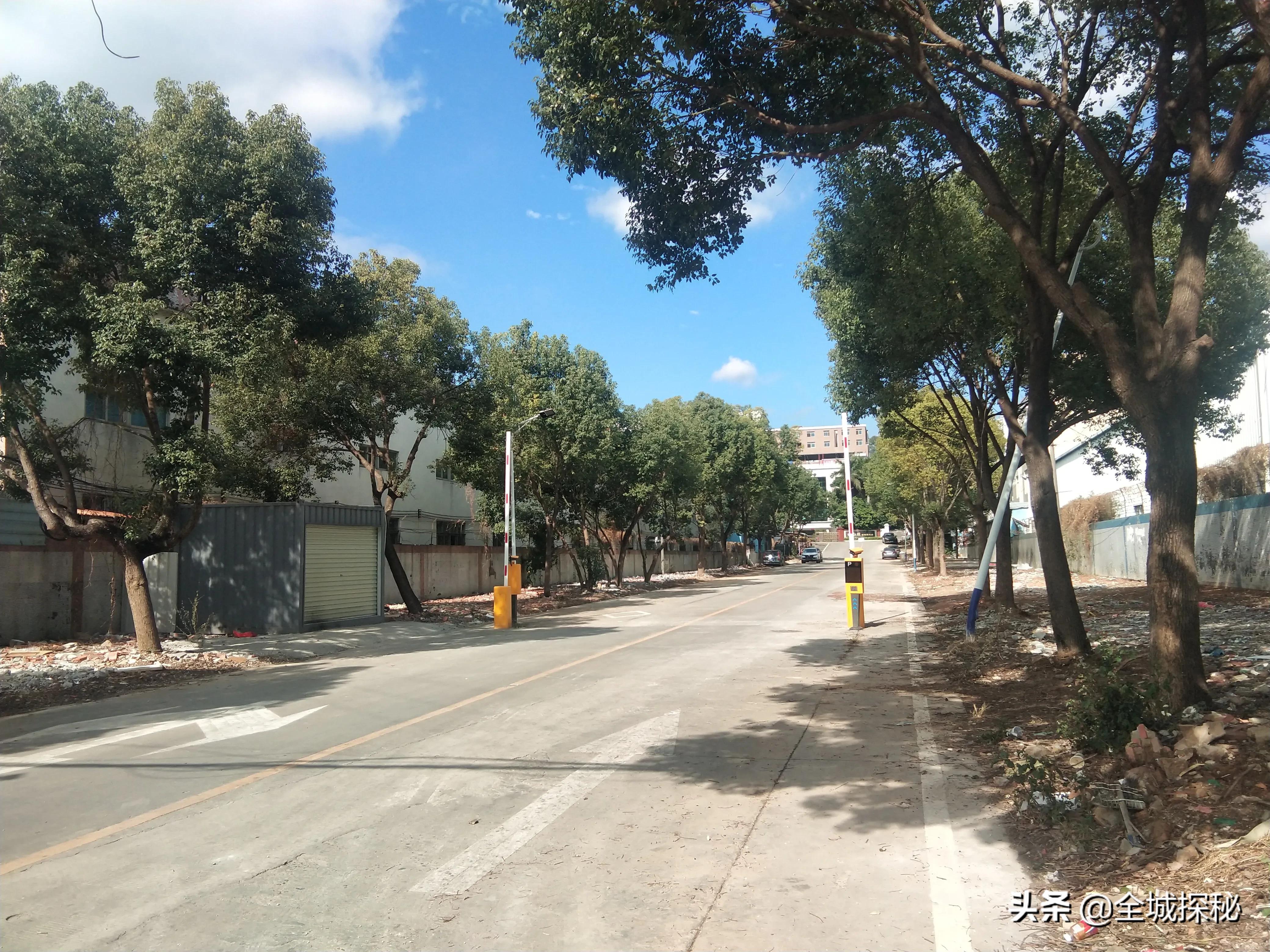 “村中城”东莞：故乡回不去，打工人把东莞打扮成了故乡