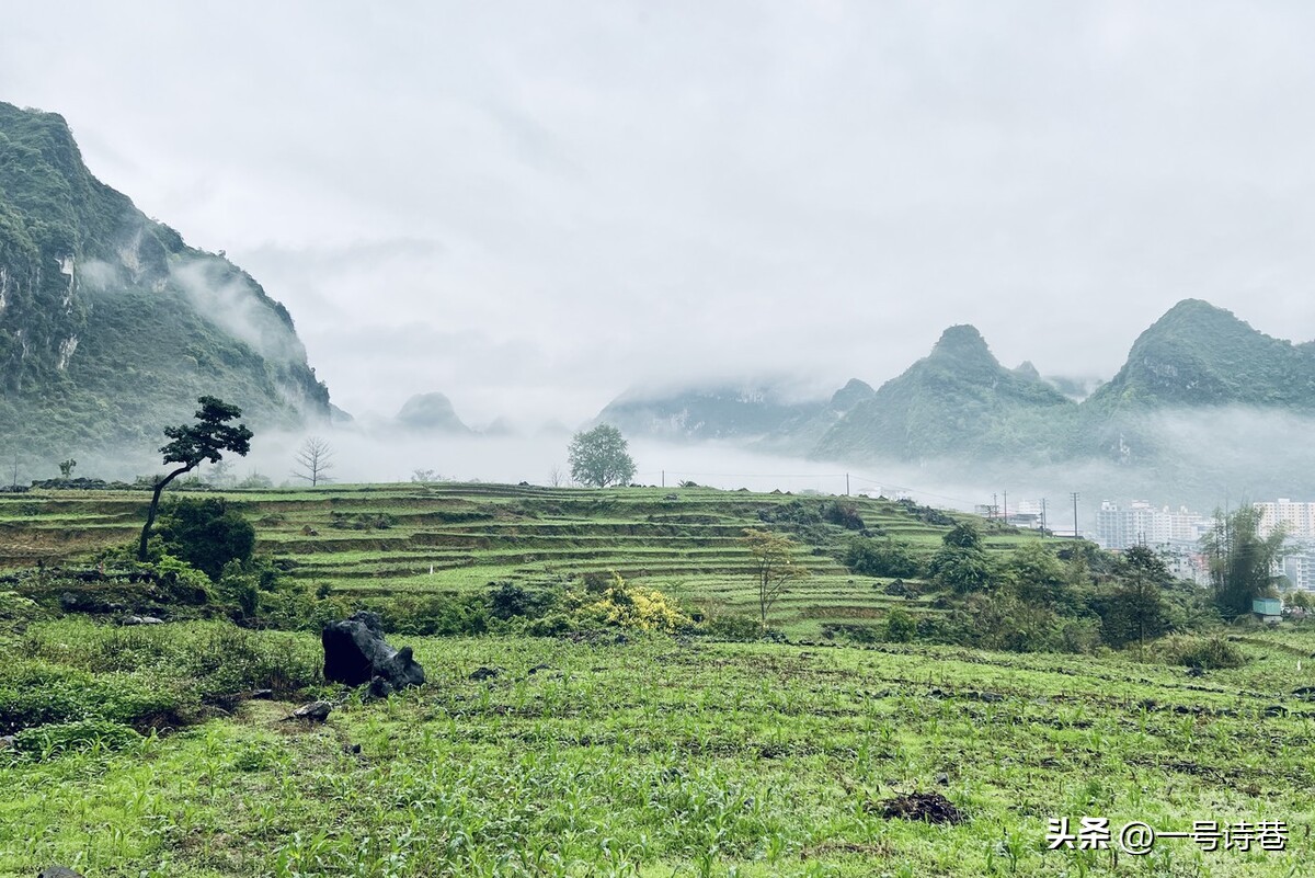 唐朝诗人李贺的这首诗，有多少人读过？每一句都堪比画卷