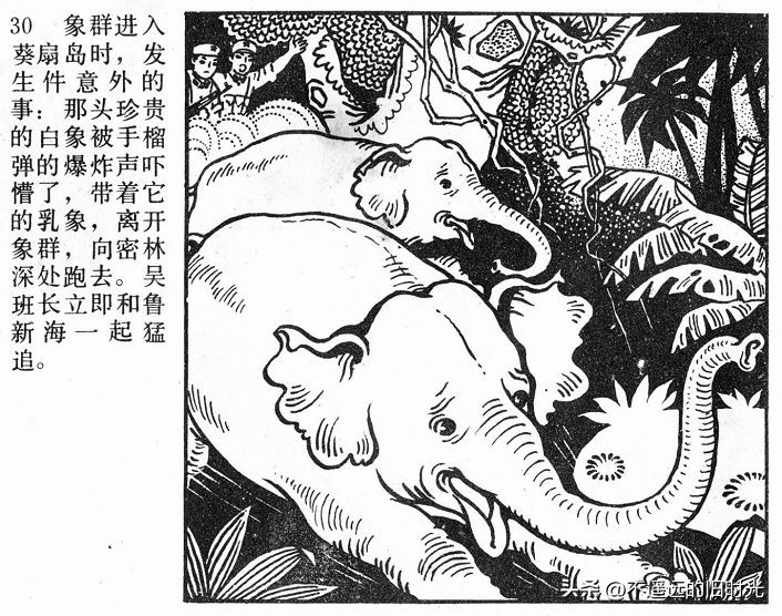 大象搬家,大象搬家河北