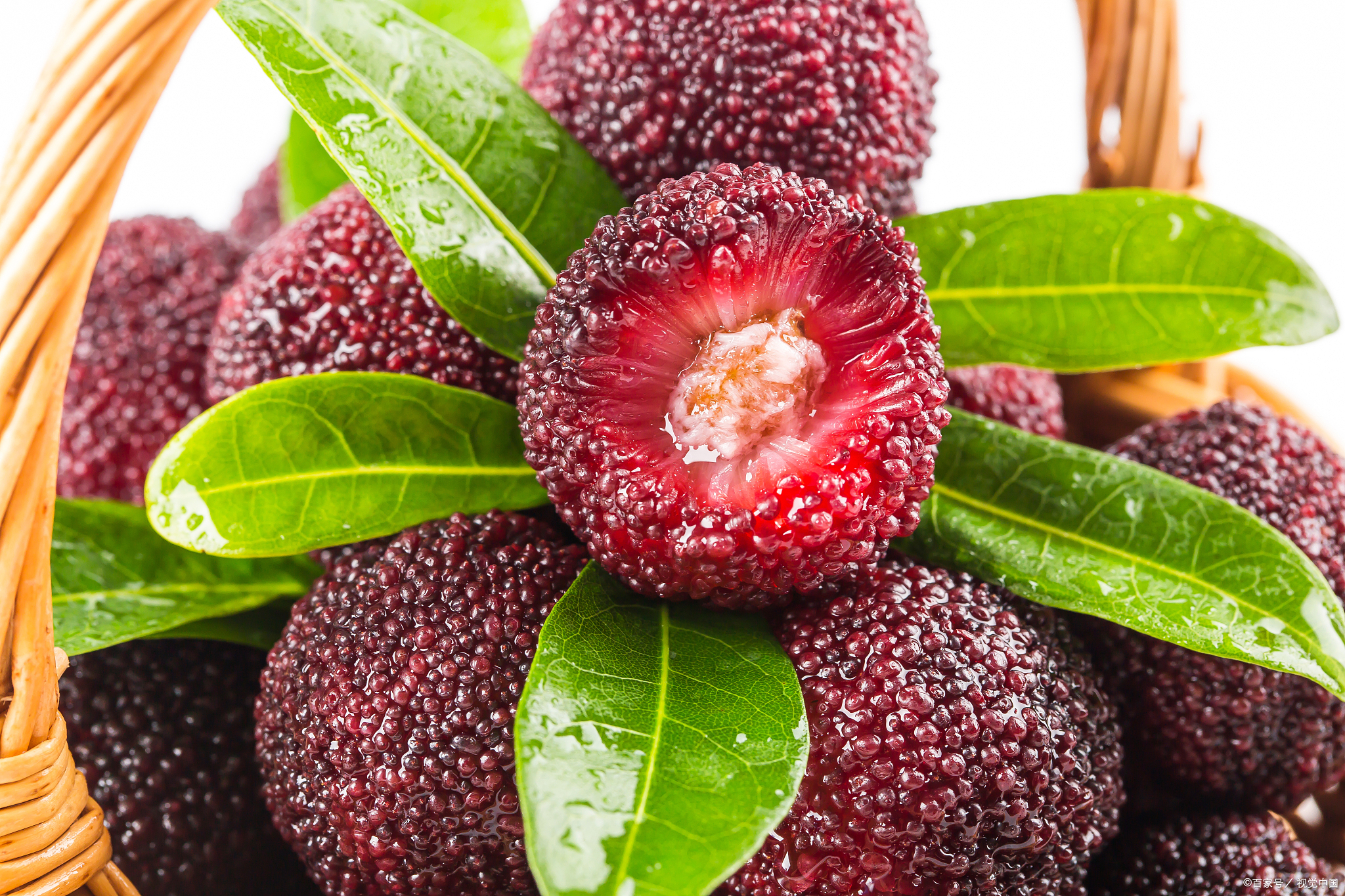 浙江的特产美食,浙江嘉兴特产有哪些可带走