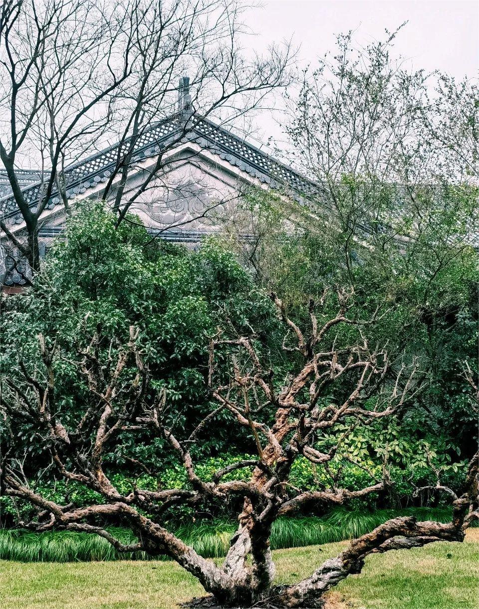 睡过这家国宾馆的新楼，我们全家都愁了……