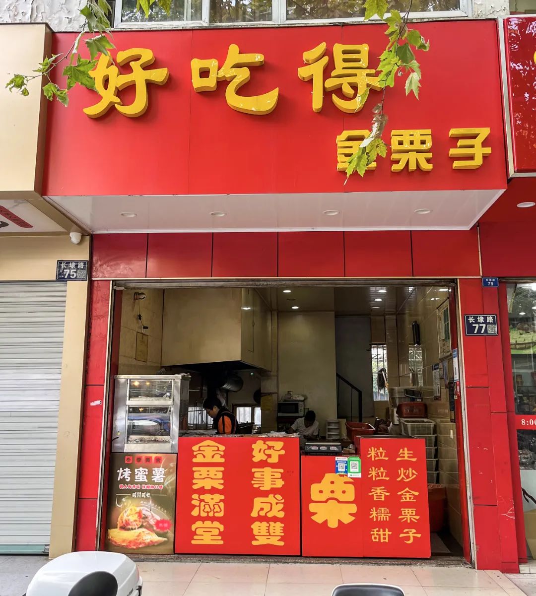 来了，2022太仓栗子不完整种草指南