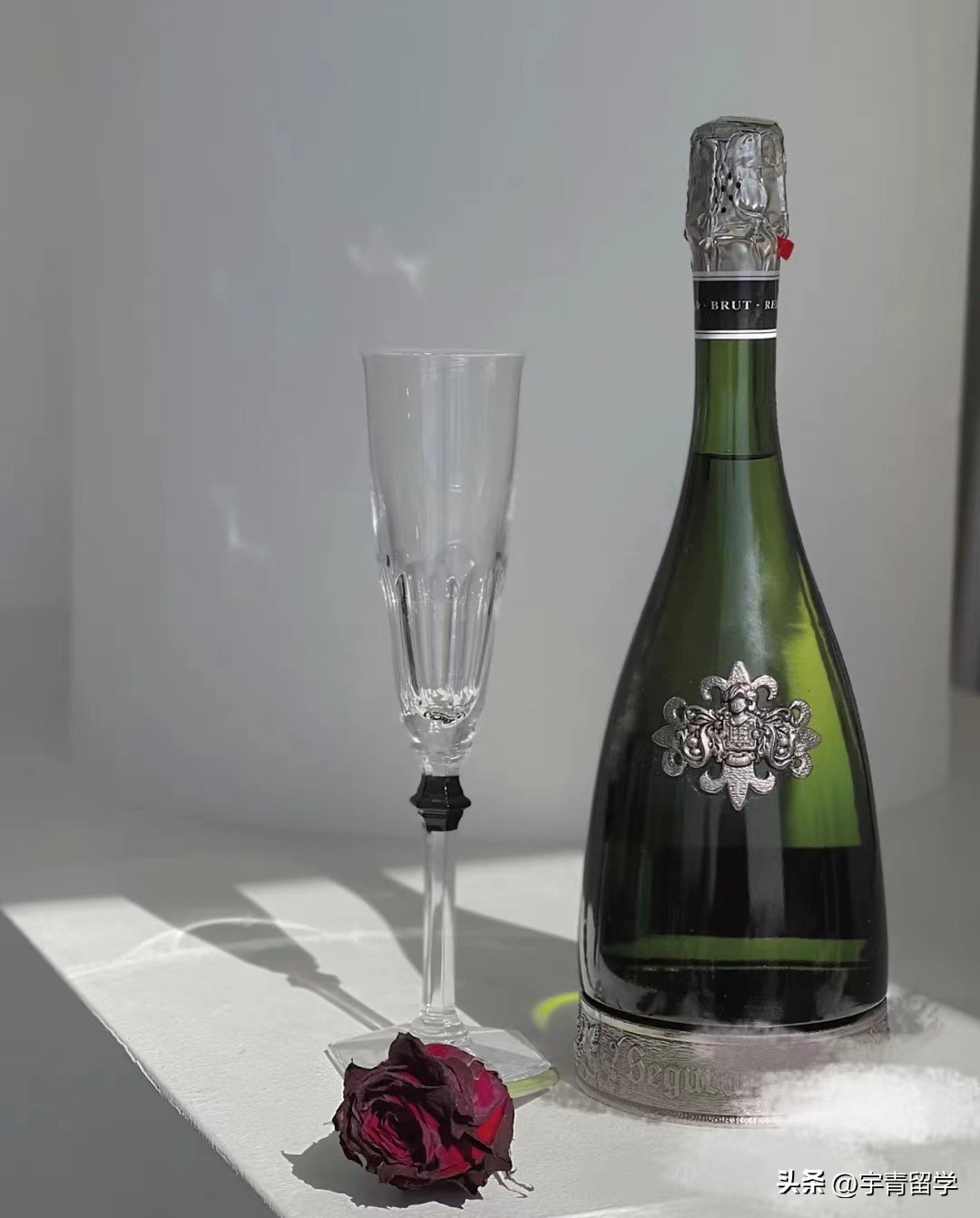 西班牙罗维拉威尔吉利大学Oenology酒类研究硕士专业你感兴趣吗?