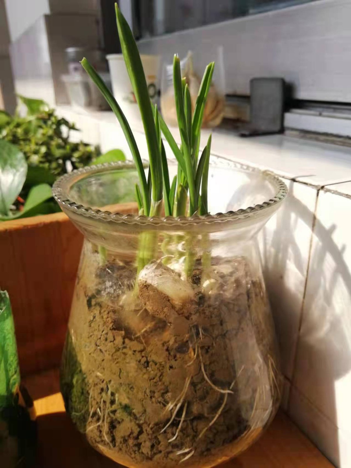 缤纷冬日寒假实践活动手册,幸福寒假实践活动手册