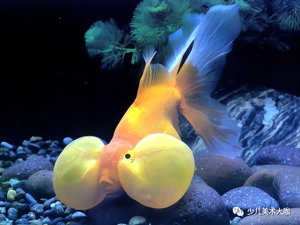 深海鱼群创意美术粘贴画,深海里的鱼群美术教案