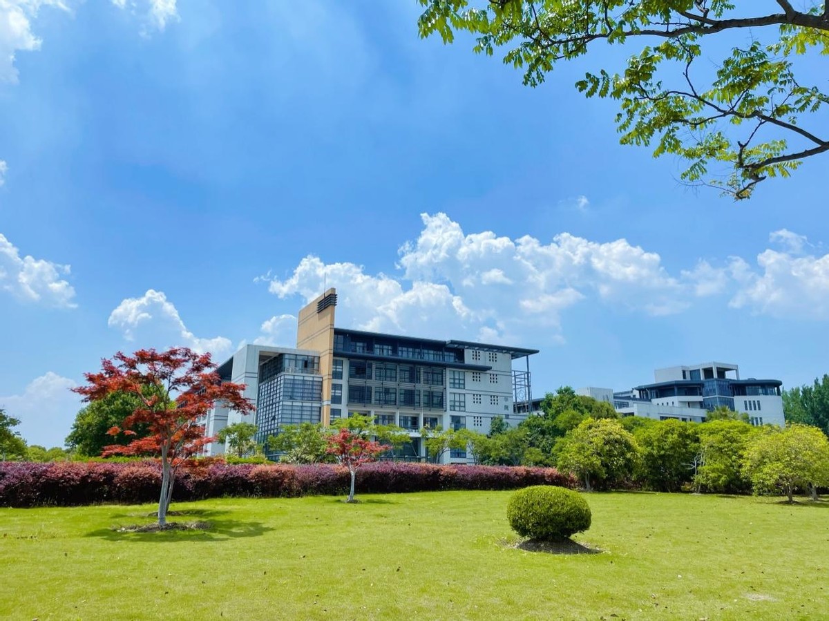 填报志愿就业前景好的专业,填志愿一定要考虑这四个专业