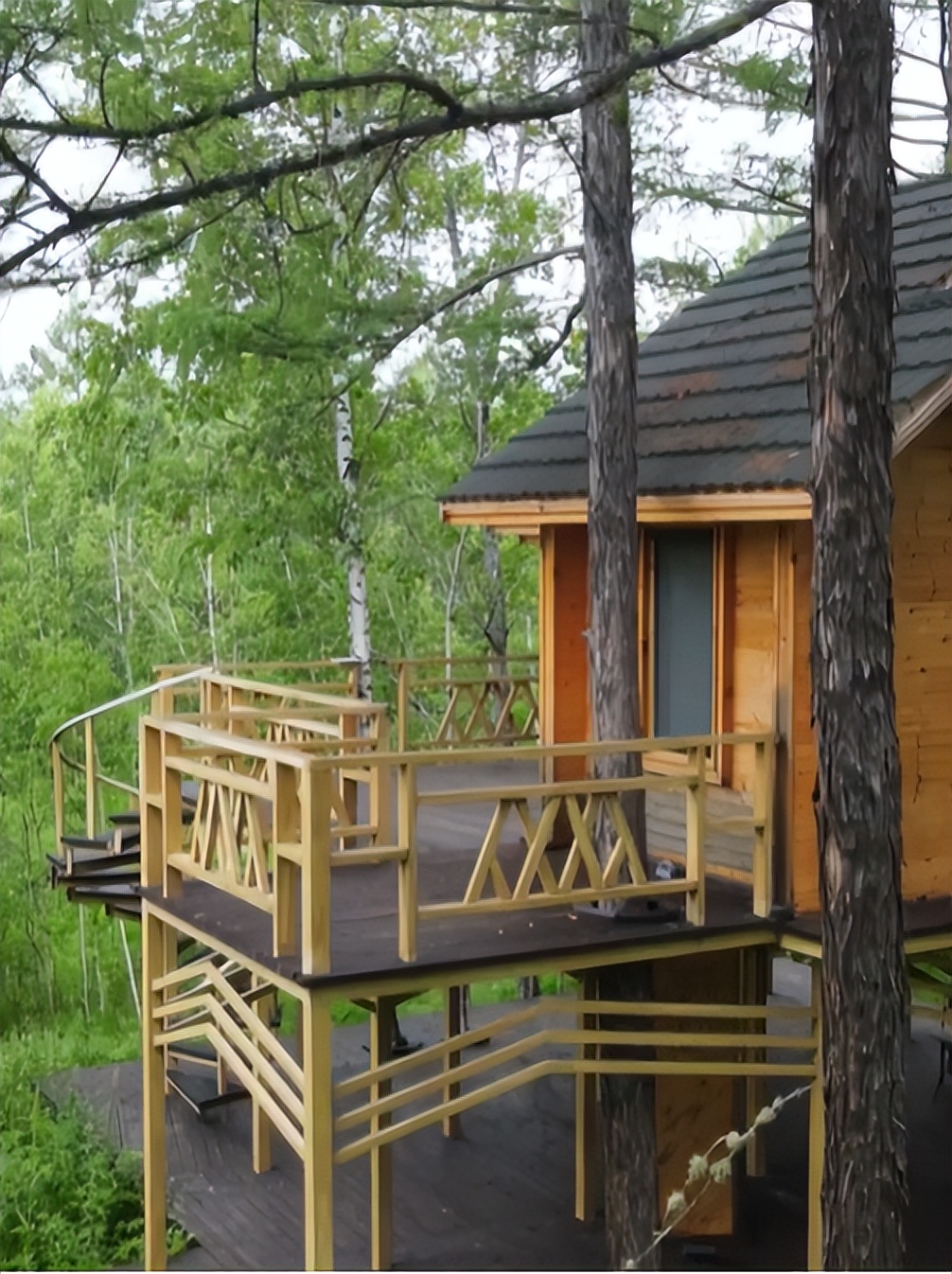 向北向北！|“美”在内蒙古