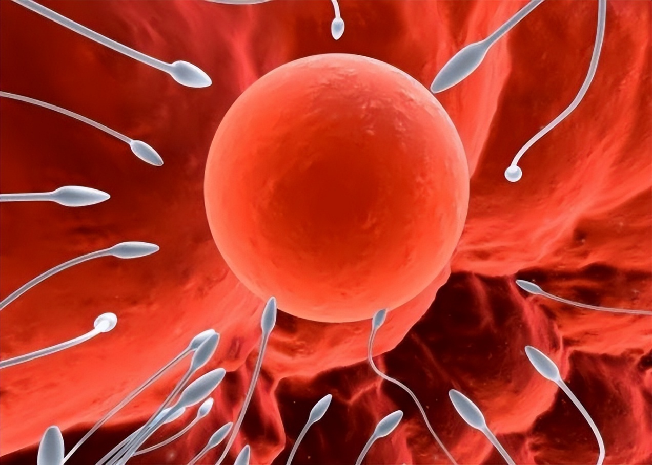 没有阴道的“石女”,到底是怎么回事?和正常女性比有啥区别?