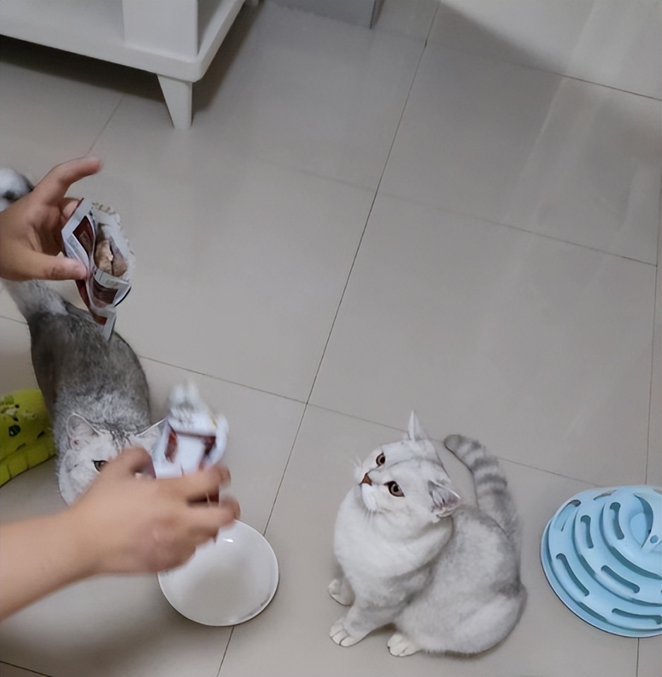 猫21测评:Hunter猎然系列冻干牛肉挑食猫咪愿意吃吗?